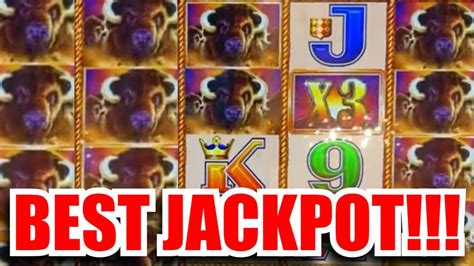 buffalo gold jackpots.